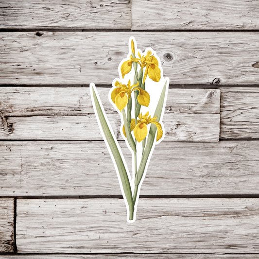 Iris Flower Sticker