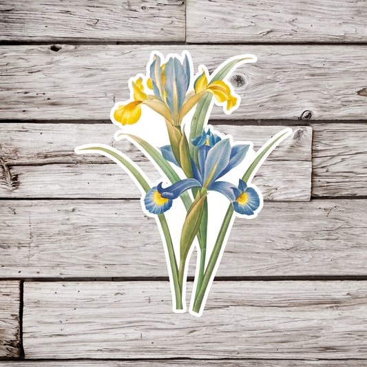 Iris Flower Sticker