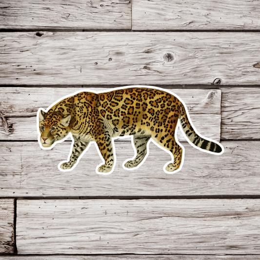 Jaguar Sticker
