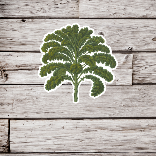 Kale Sticker