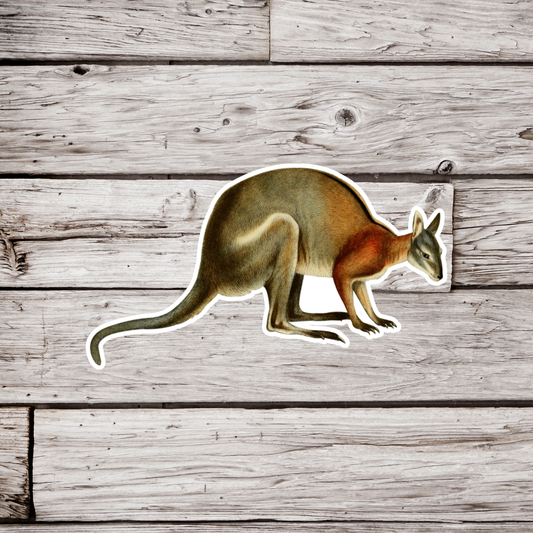 Kangaroo Sticker