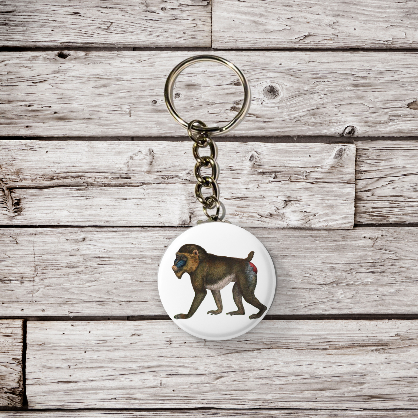 Baboon Pin Back Button, Magnet, Keychain