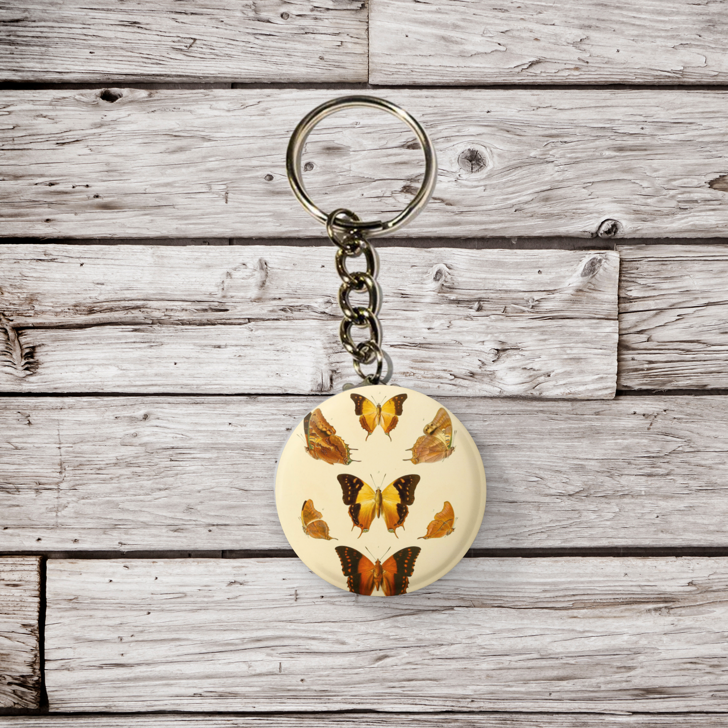 Butterfly Pin Back Button, Magnet, Keychain