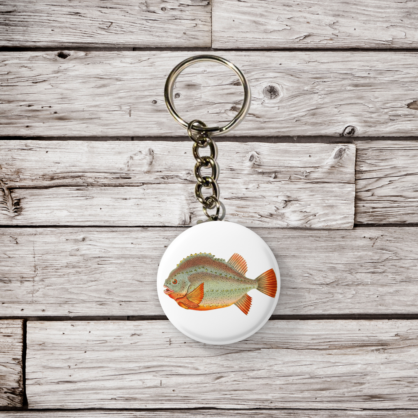Lumpfish, Cyclopterus Lumpus Sticker Pin Back Button, Magnet, Keychain