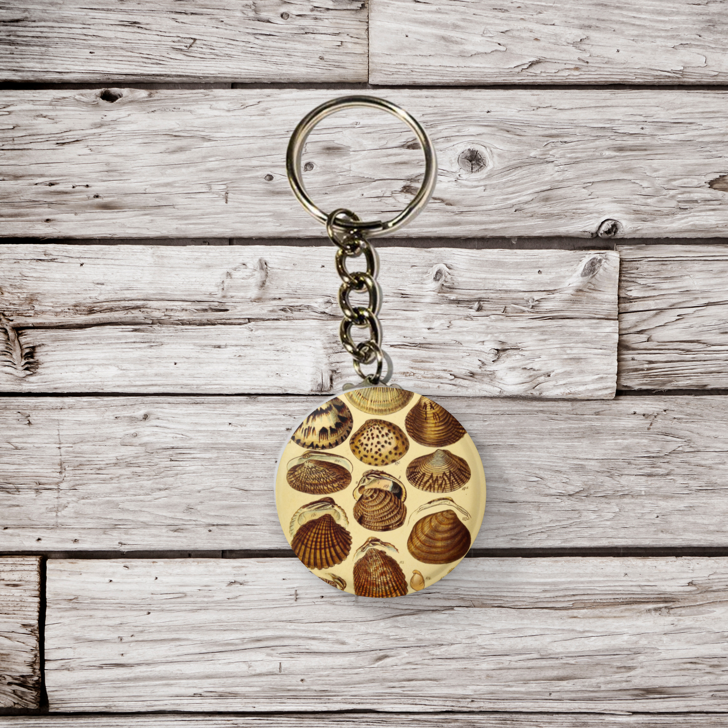 Clam Shells Pin Back Button, Magnet, Keychain