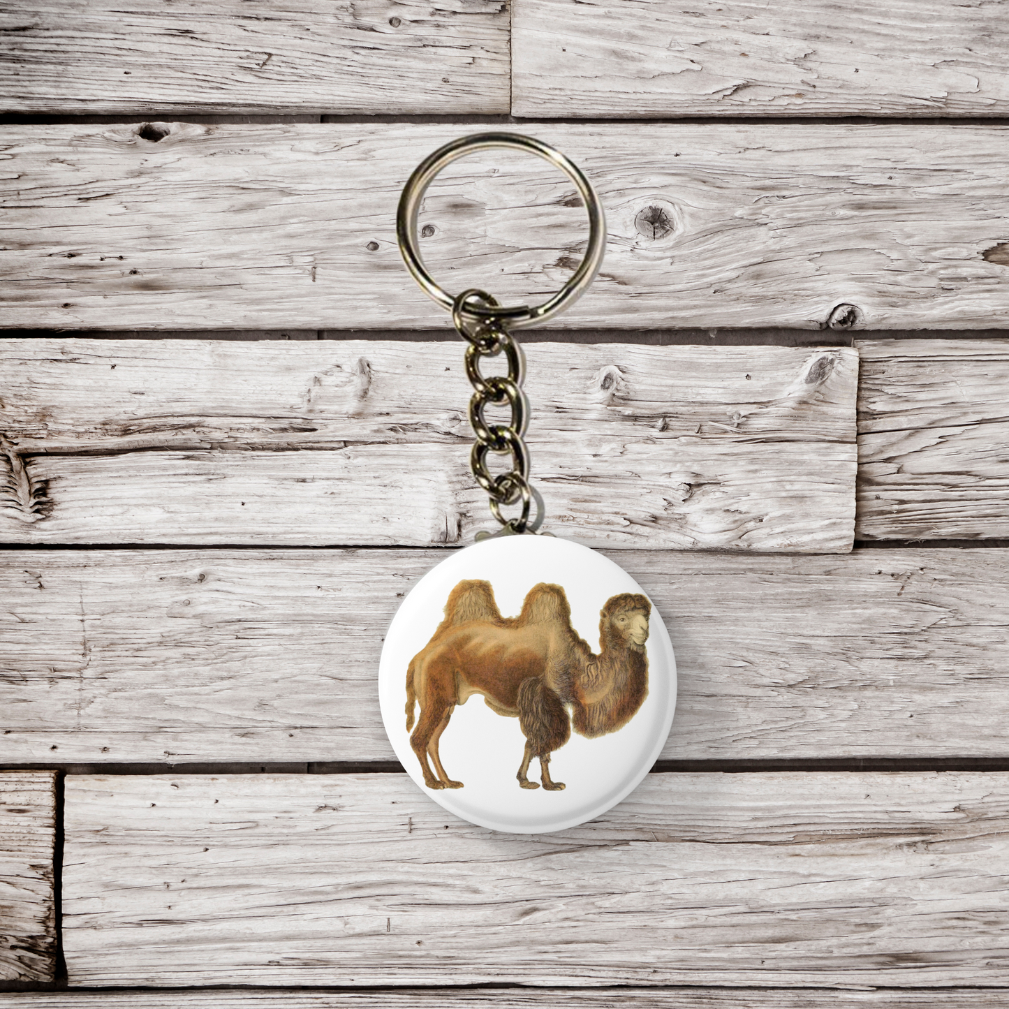 Camel Pin Back Button, Magnet, Keychain