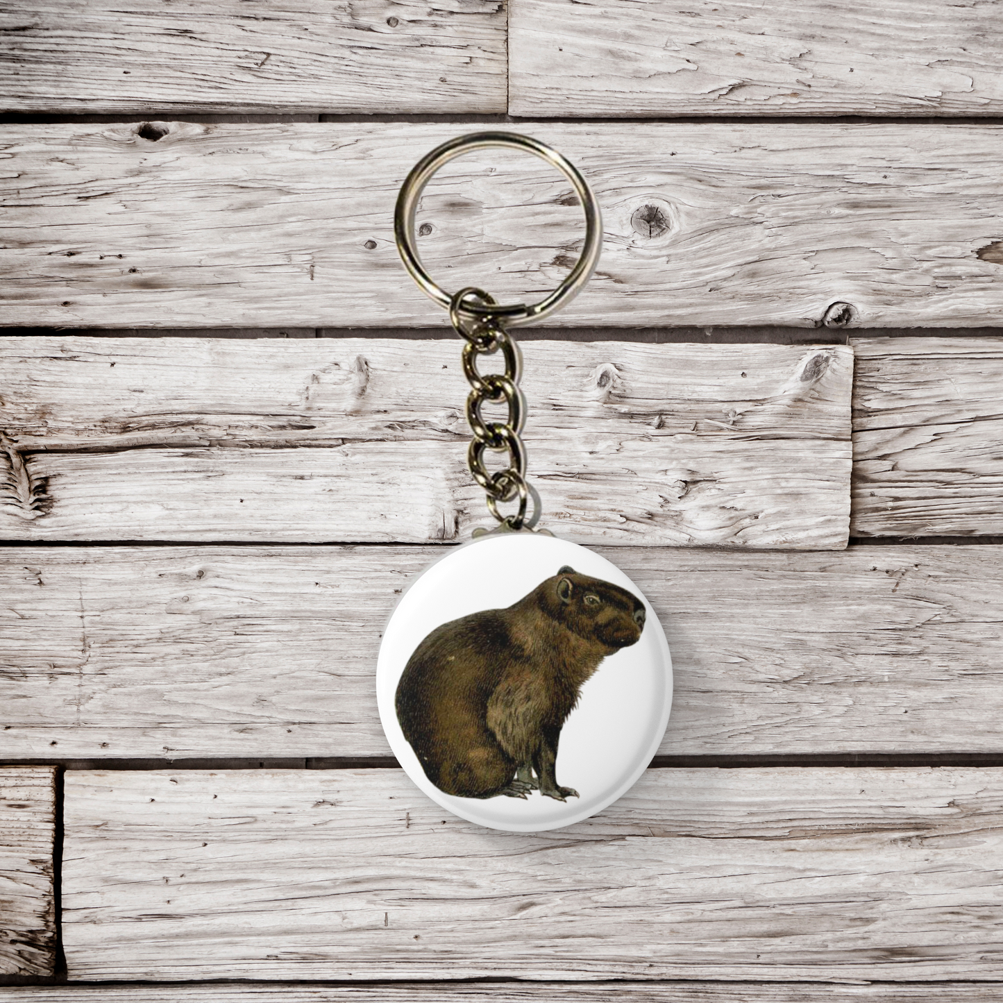 Capybara Pin Back Button, Magnet, Keychain