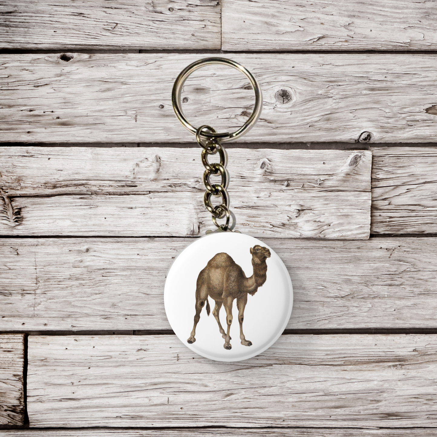 Camel Pin Back Button, Magnet, Keychain