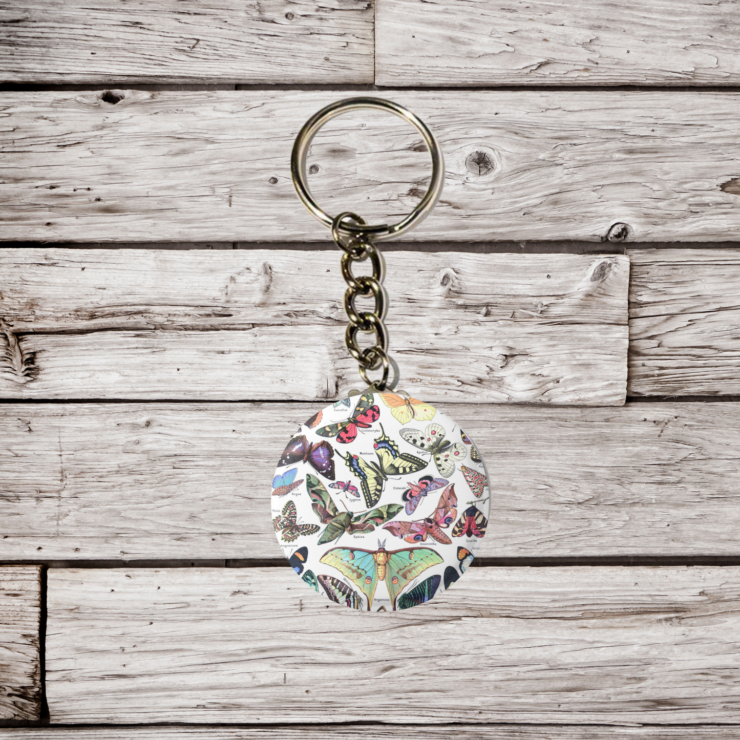 Butterfly Pin Back Button, Magnet, Keychain