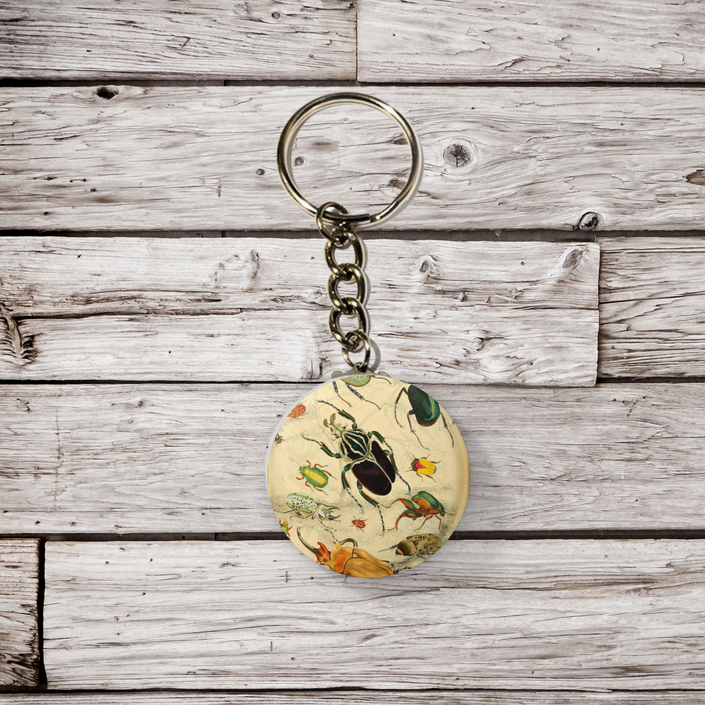 Beetle Pin Back Button, Magnet, Keychain