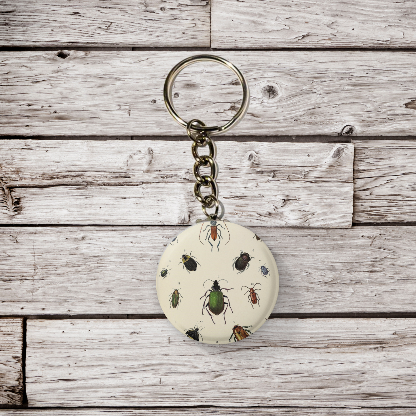 Beetle Pin Back Button, Magnet, Keychain