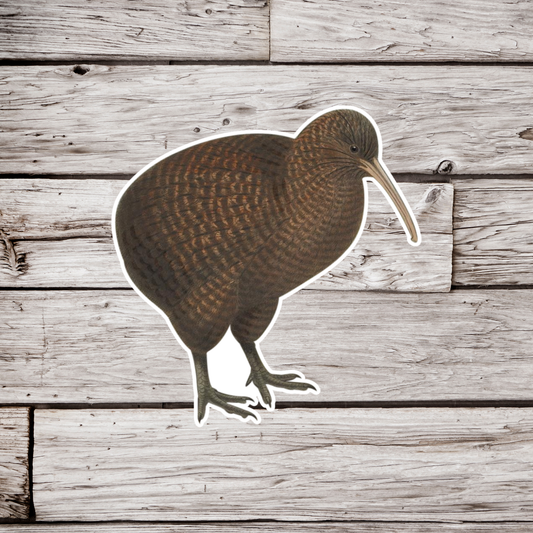 Kiwi Sticker