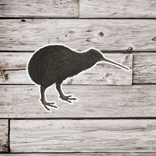 Kiwi Sticker