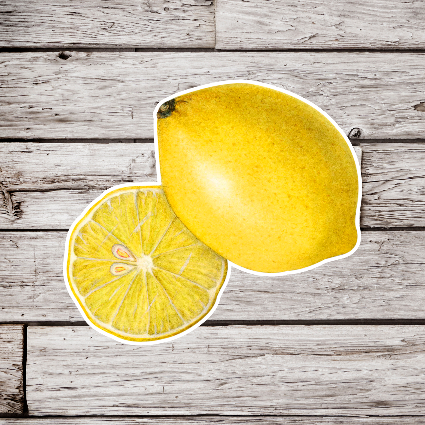 Lemon Sticker