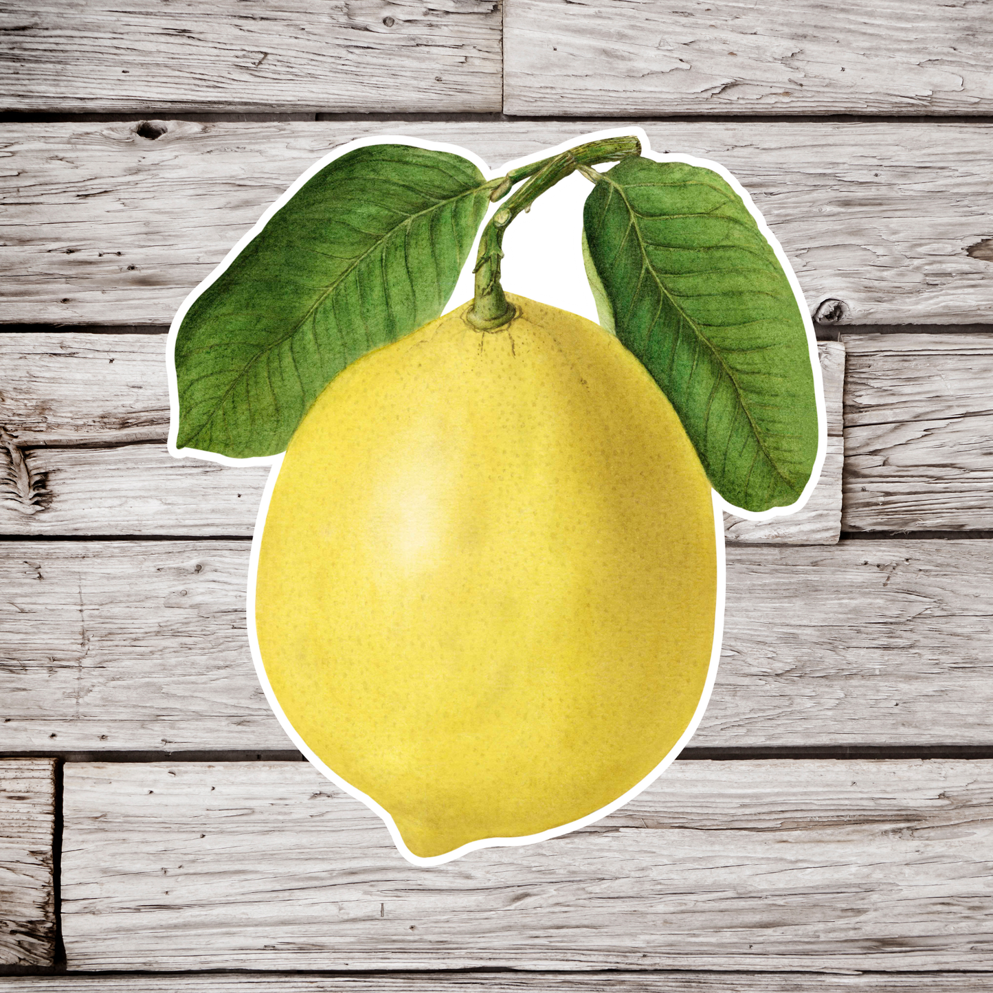 Lemon Sticker