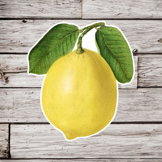 Lemon Sticker
