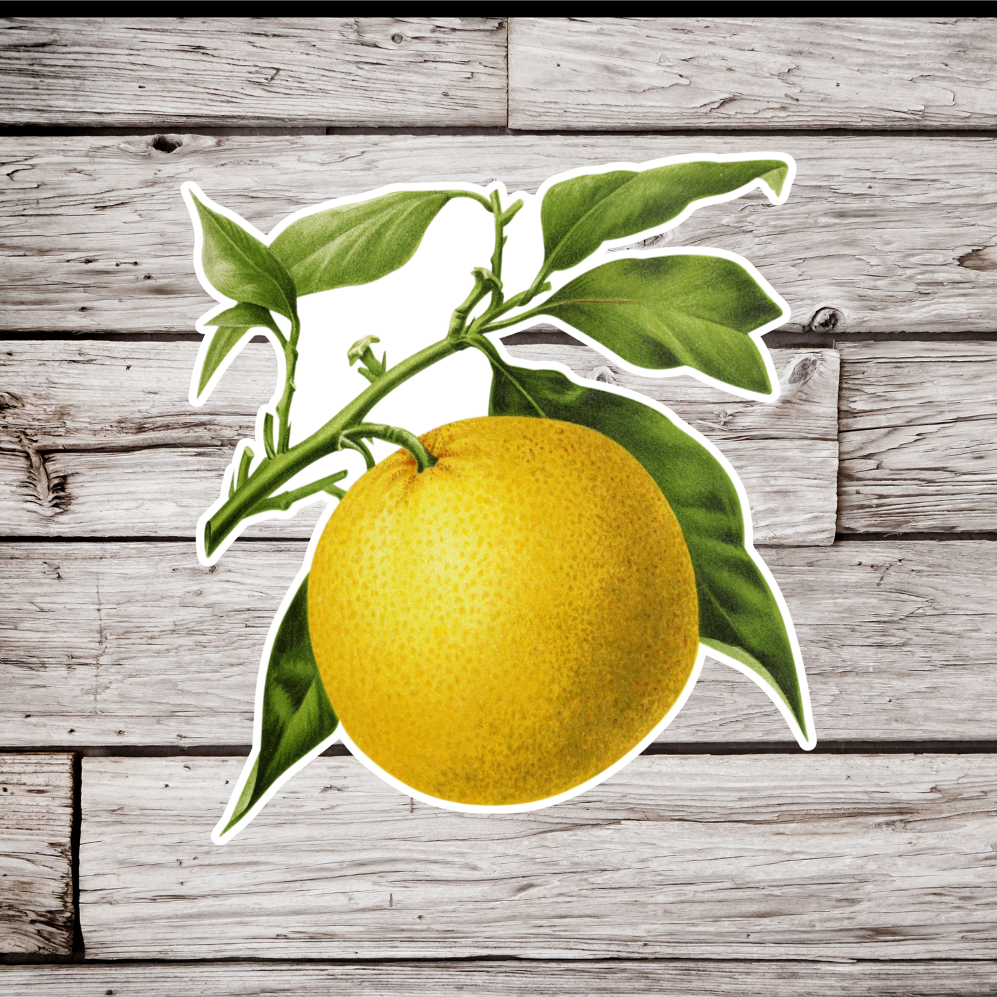 Lemon Sticker
