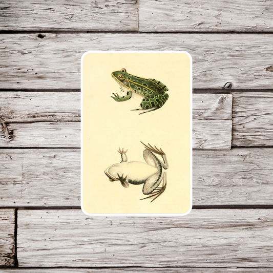Leopard Frog Sticker