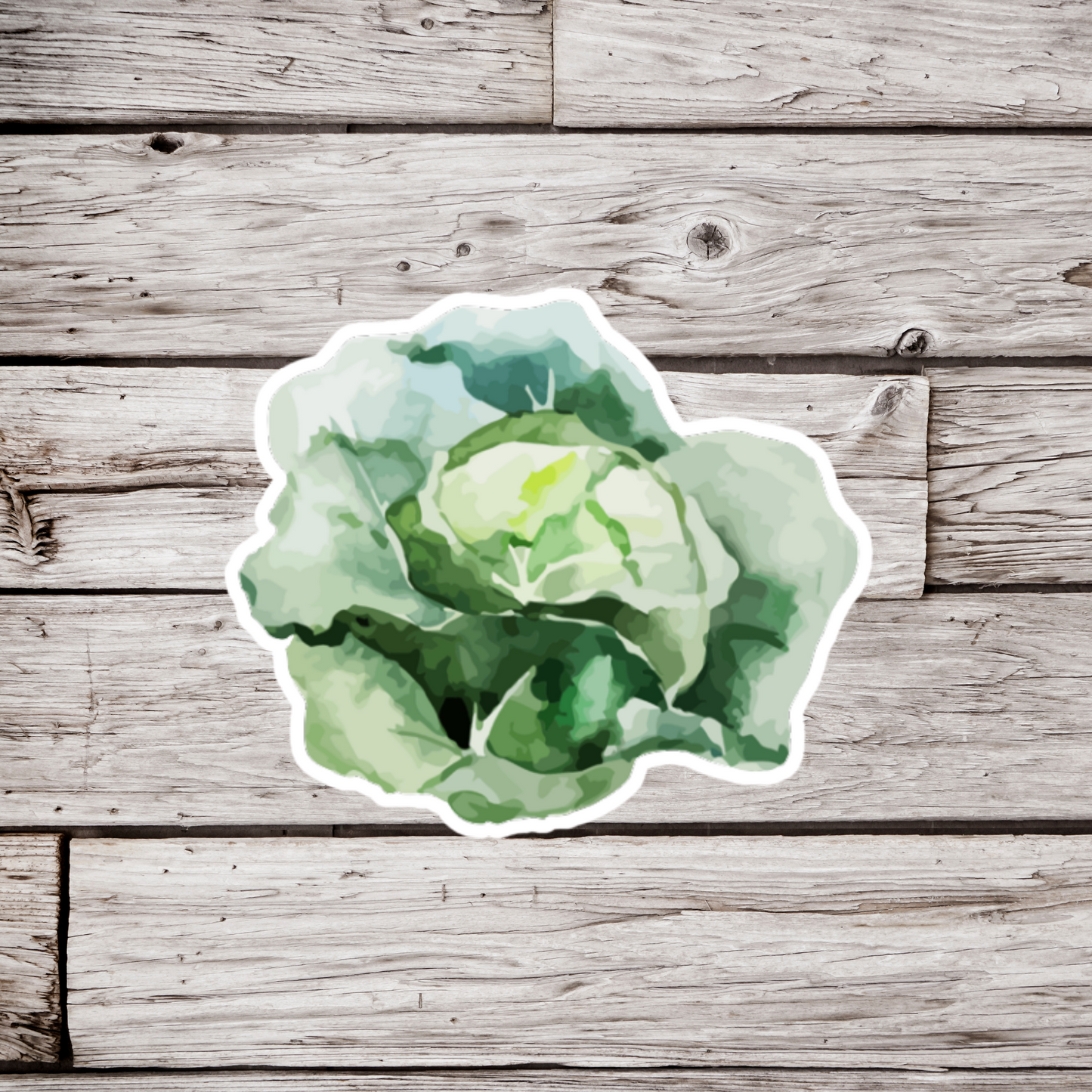 Lettuce Sticker