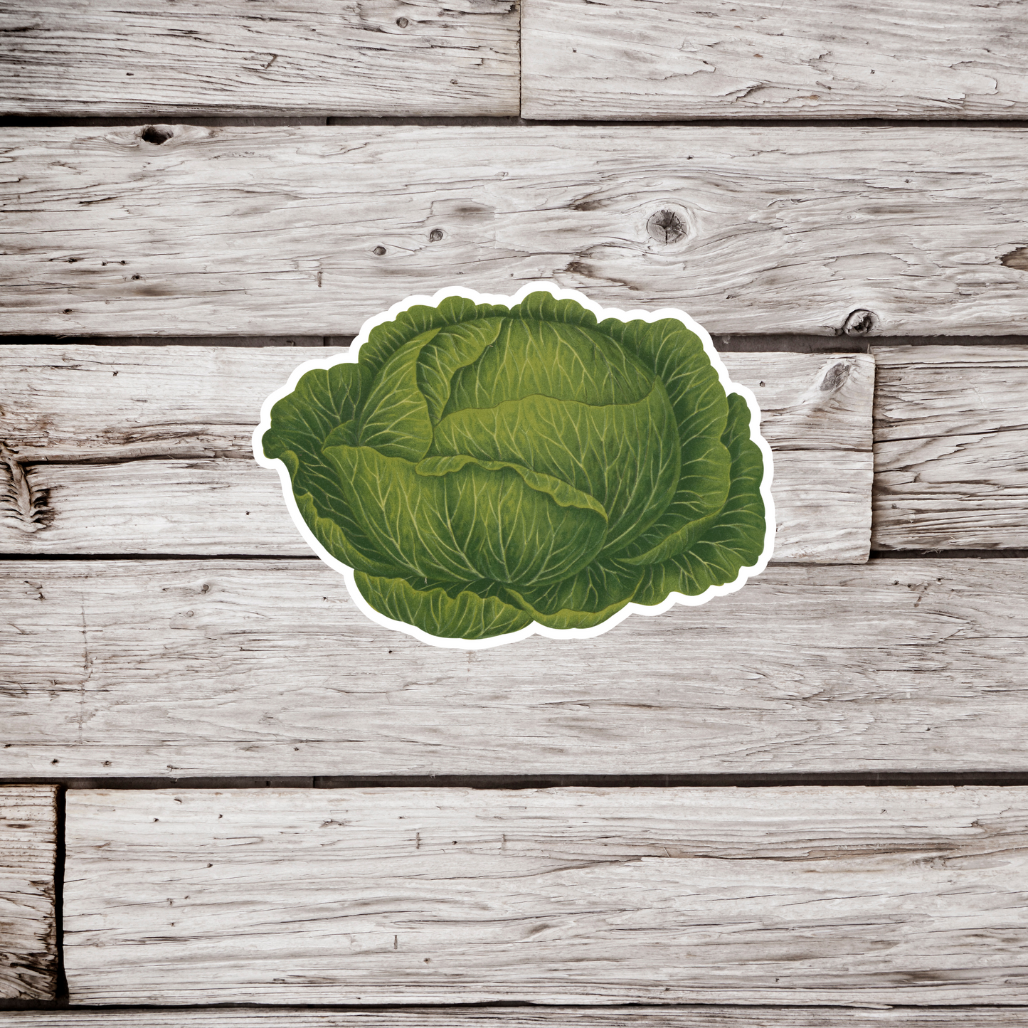 Lettuce Sticker