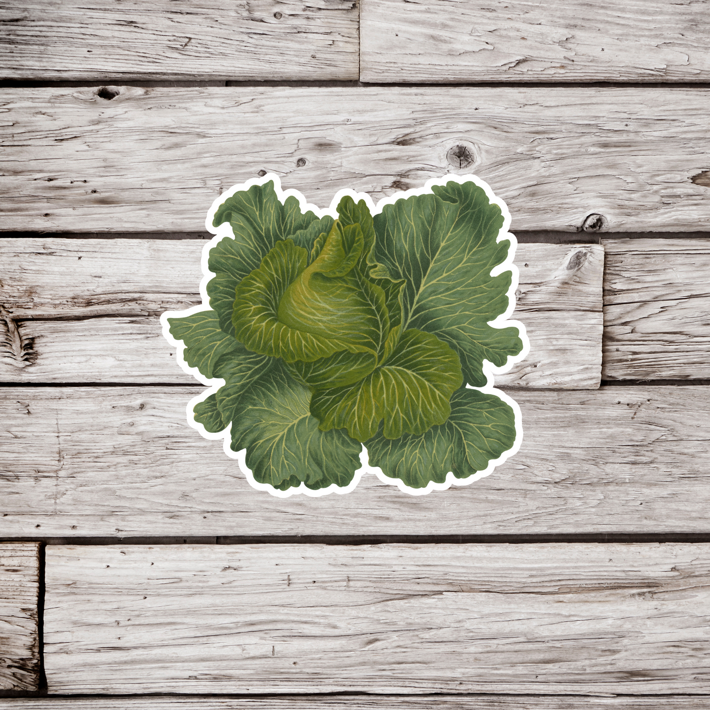 Lettuce Sticker
