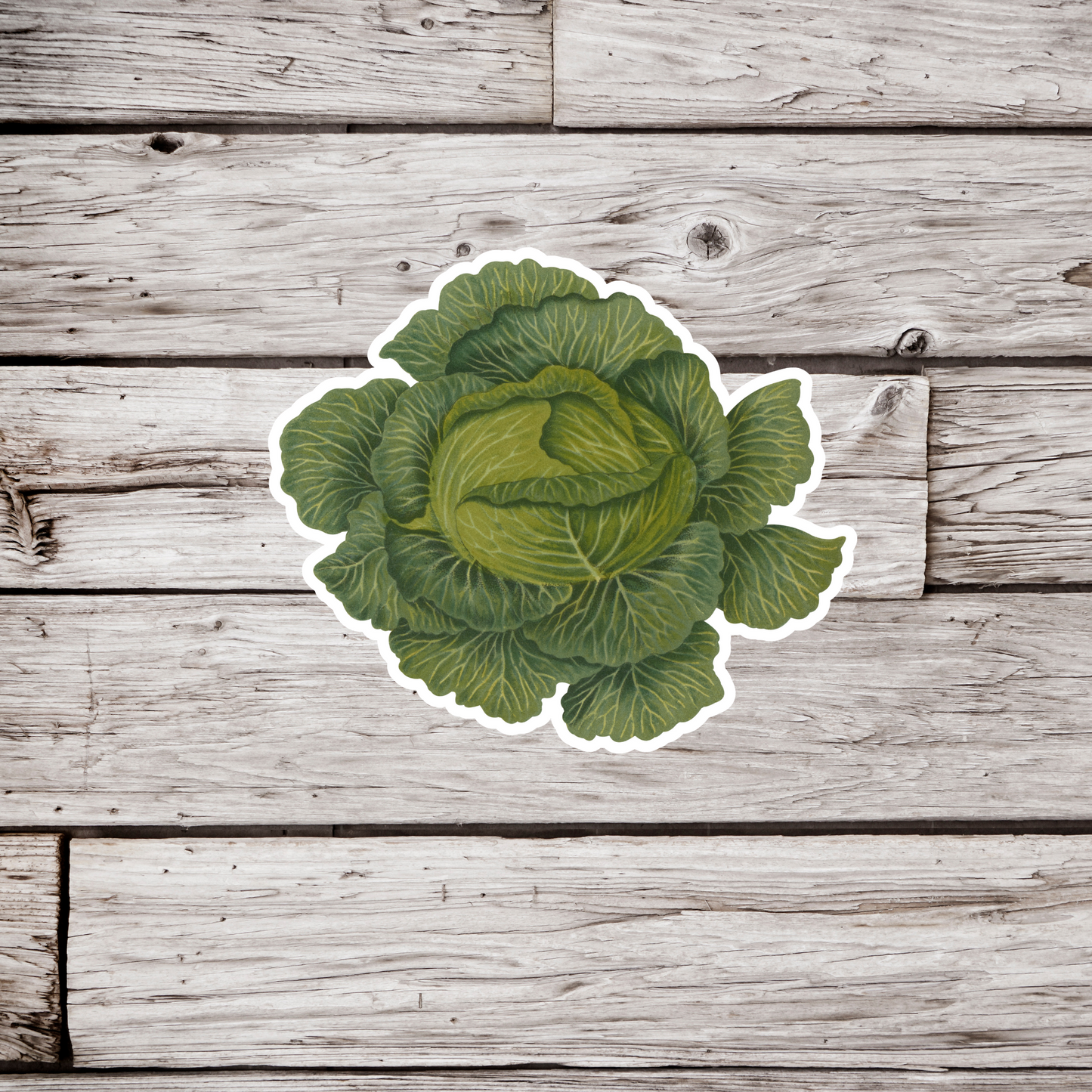 Lettuce Sticker