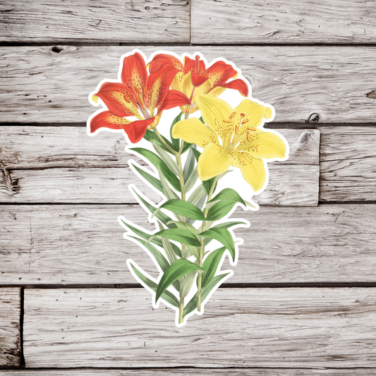 Lily Sticker