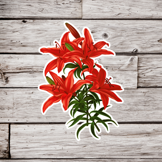 Lily Sticker