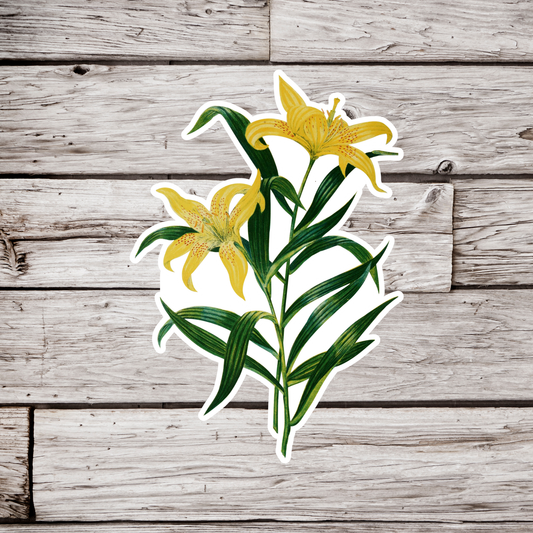 Lily Sticker