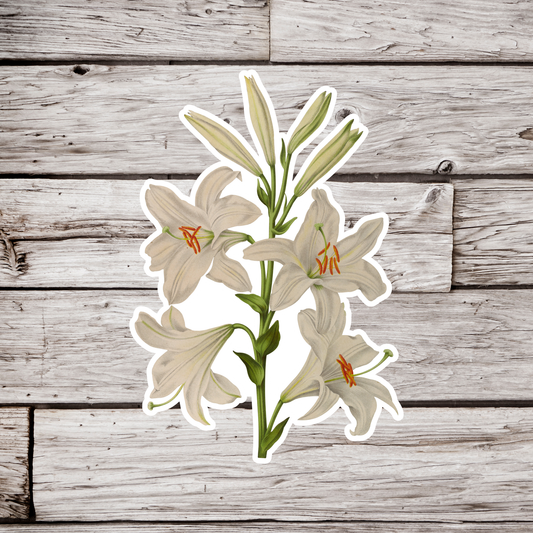 Lily Sticker