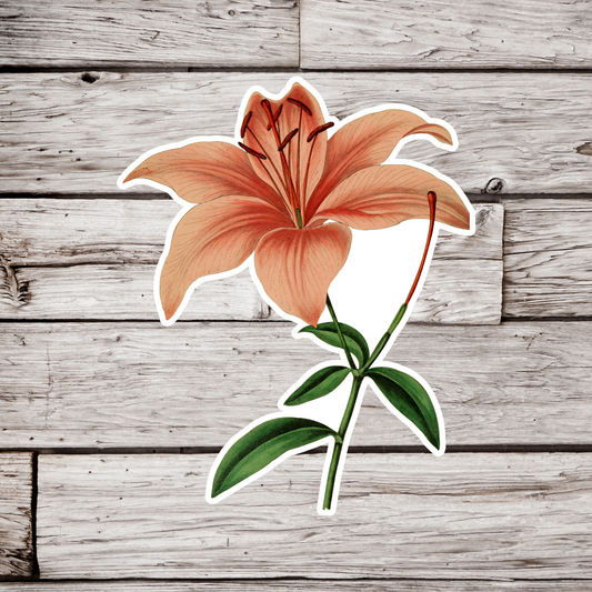 Lily Sticker