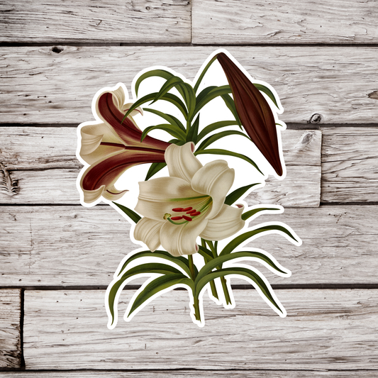 Lily Sticker
