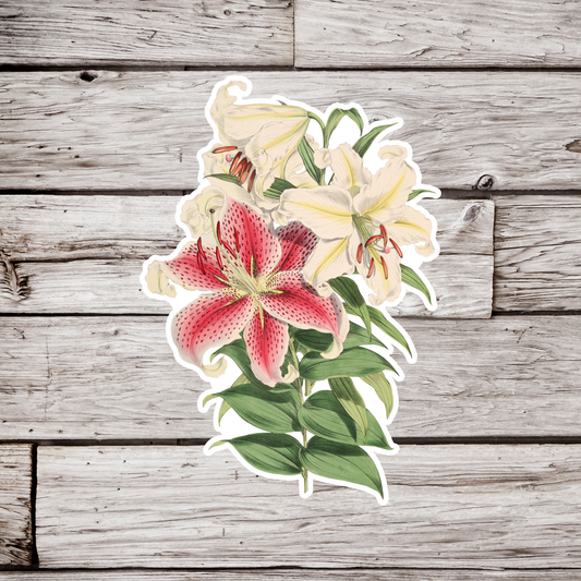 Lily Sticker