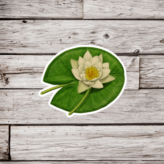 Lily Pad Sticker