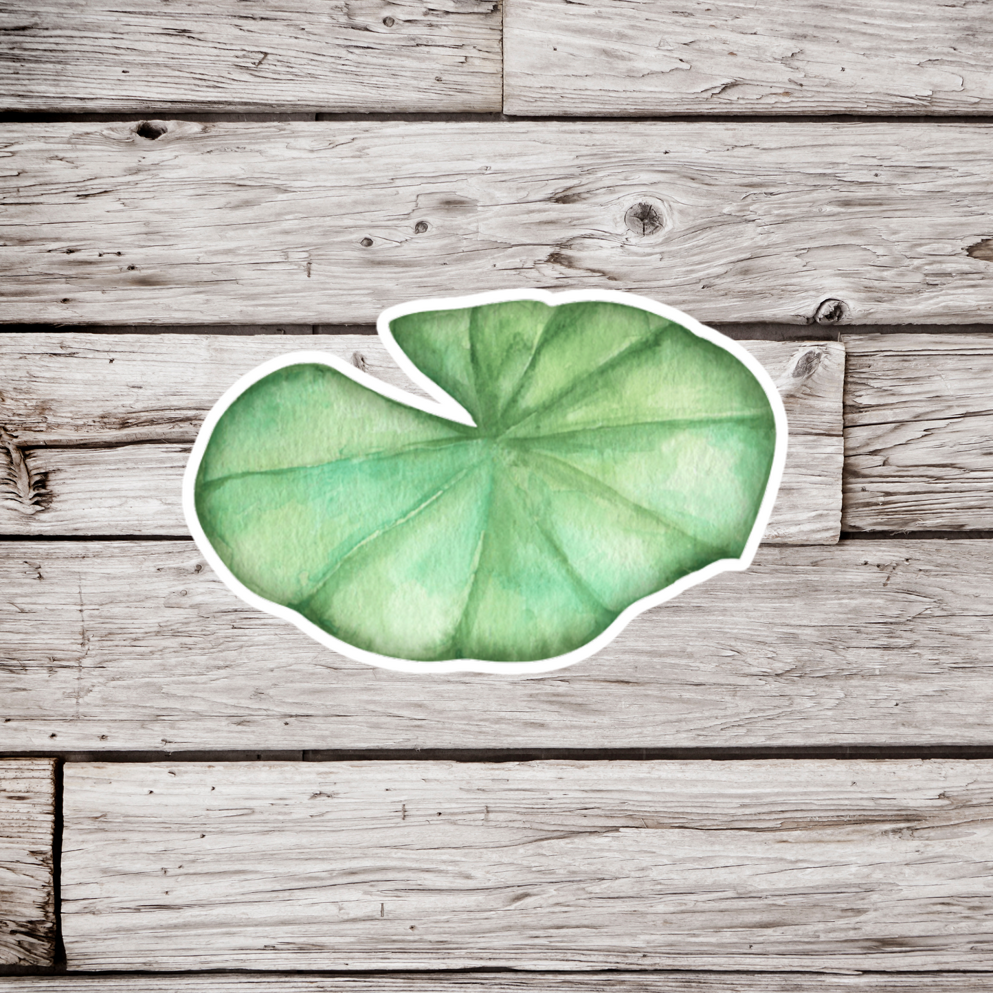 Lily Pad Sticker