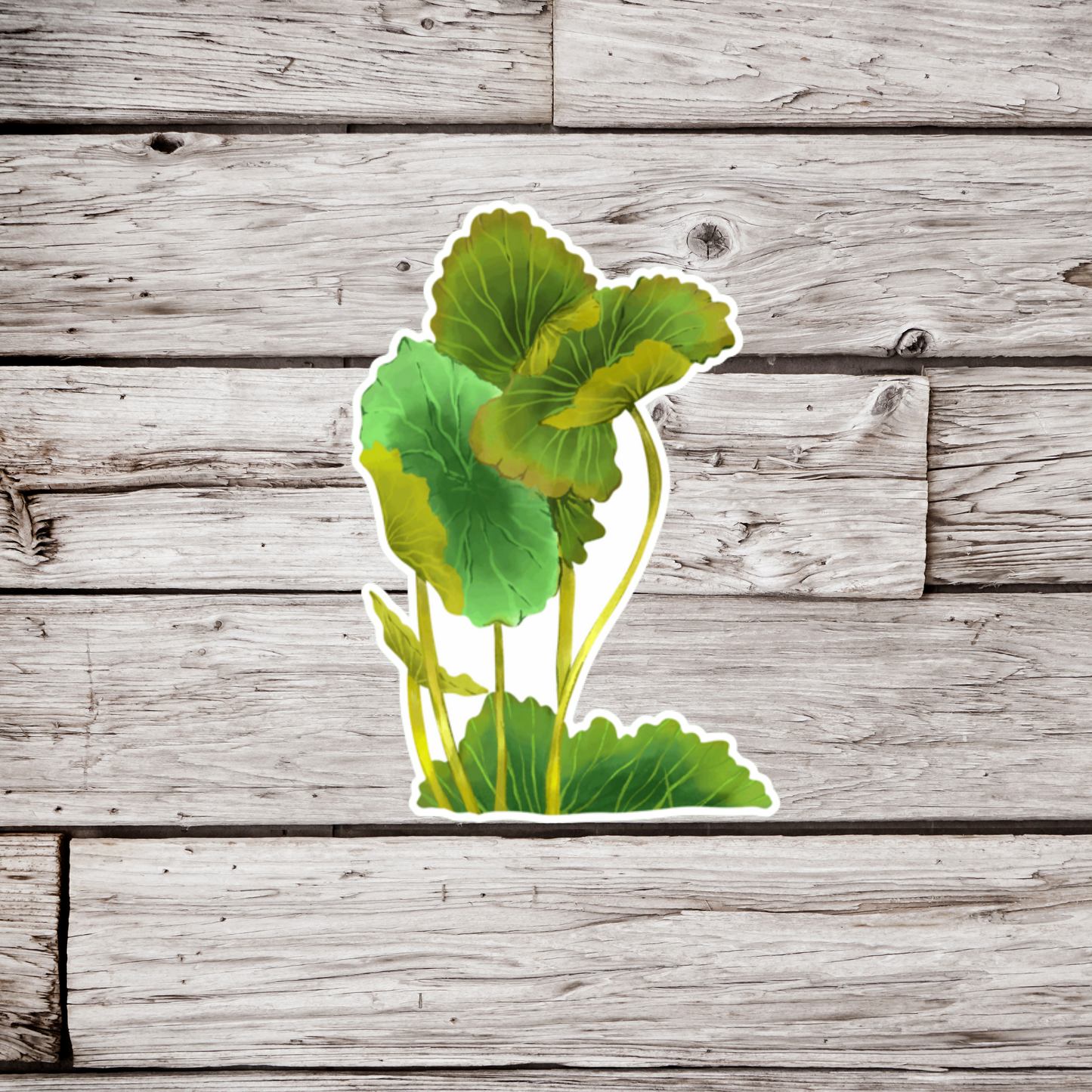 Lily Pad Sticker