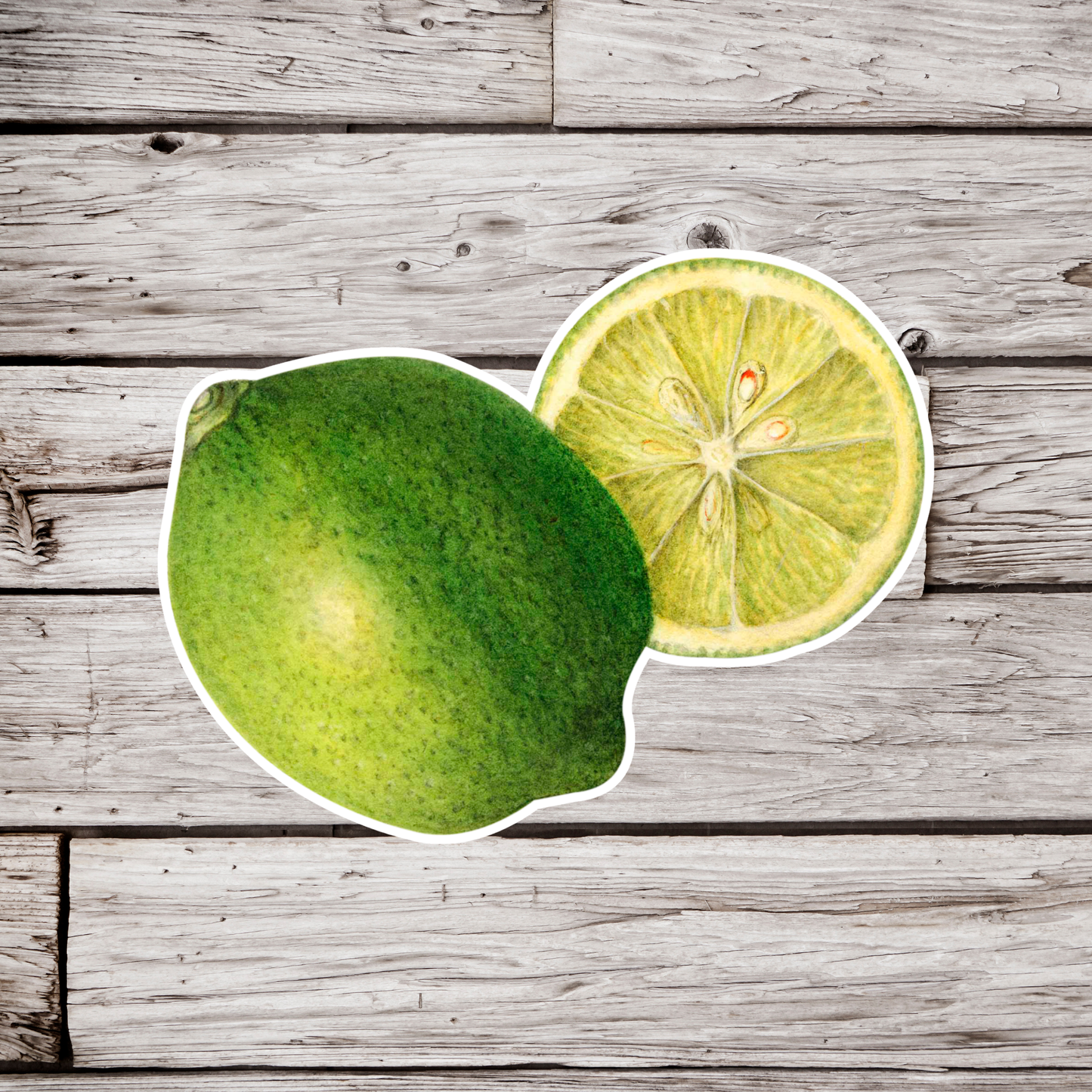 Lime Sticker