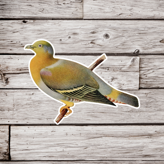 Little Green Pigeon Sticker