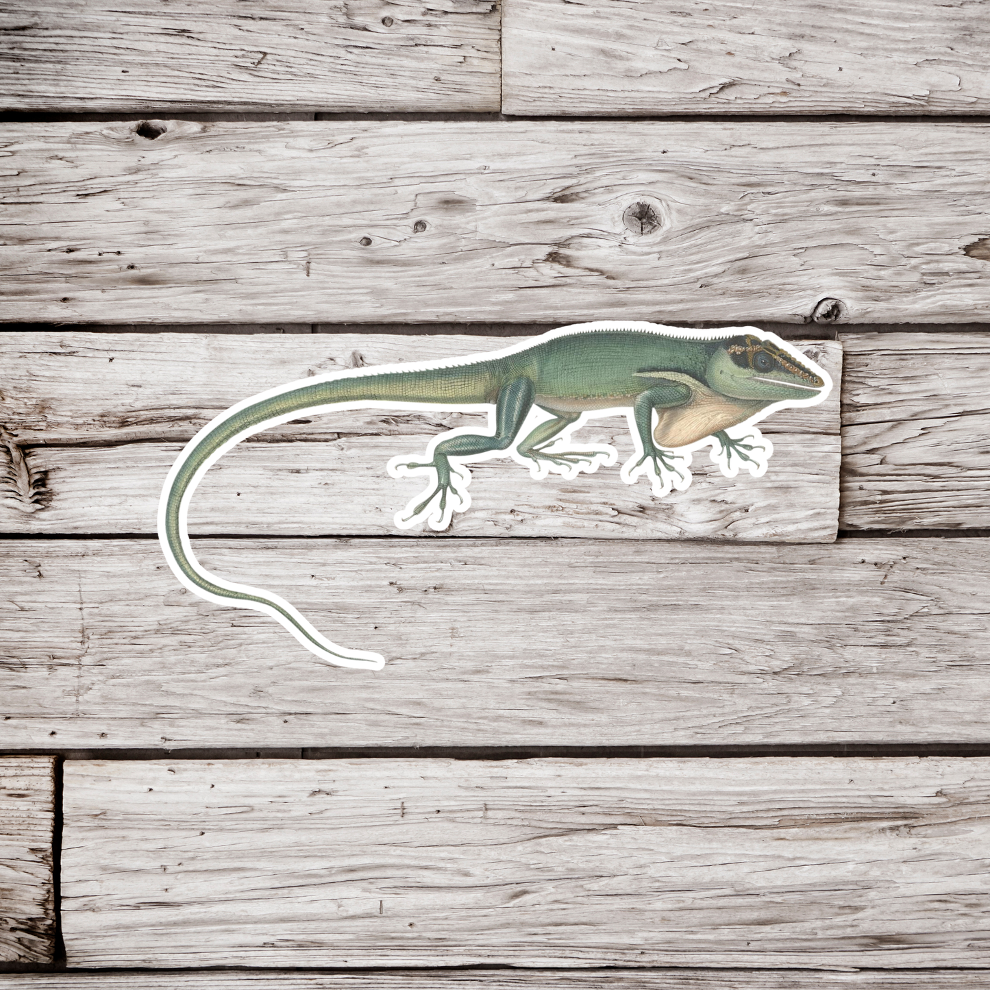 Lizard Sticker
