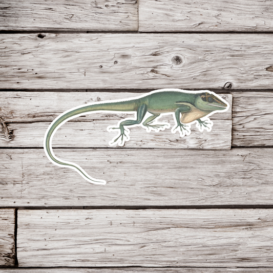 Lizard Sticker