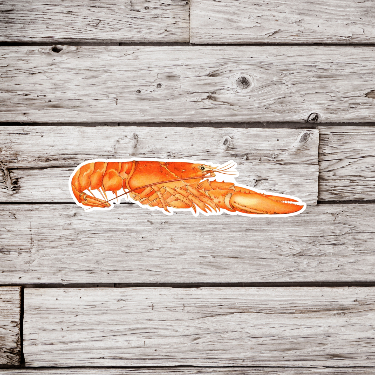 Lobster Sticker