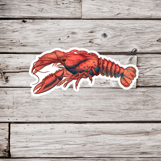 Lobster Sticker