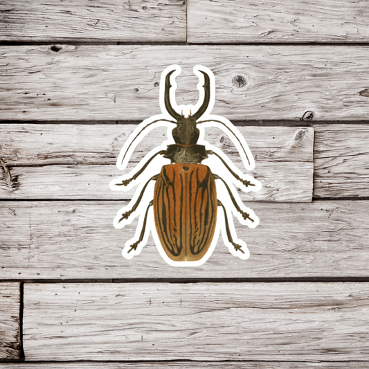 Longhorn Beetle Sticker