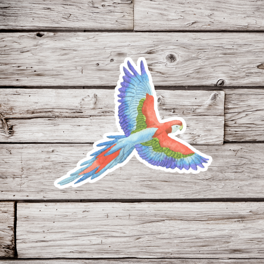 Macaw Sticker