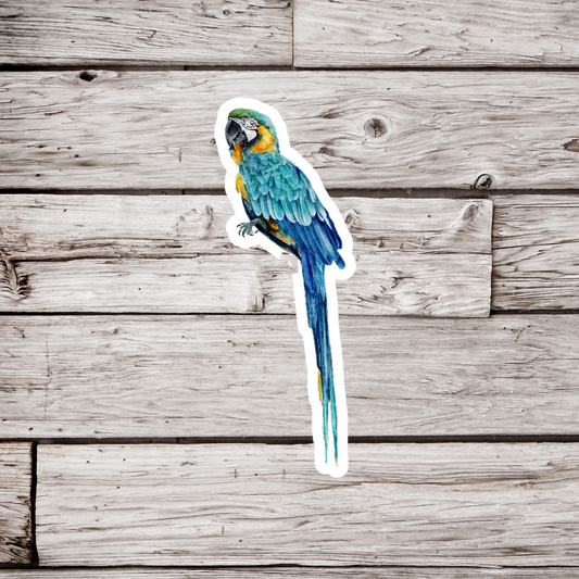 Macaw Sticker