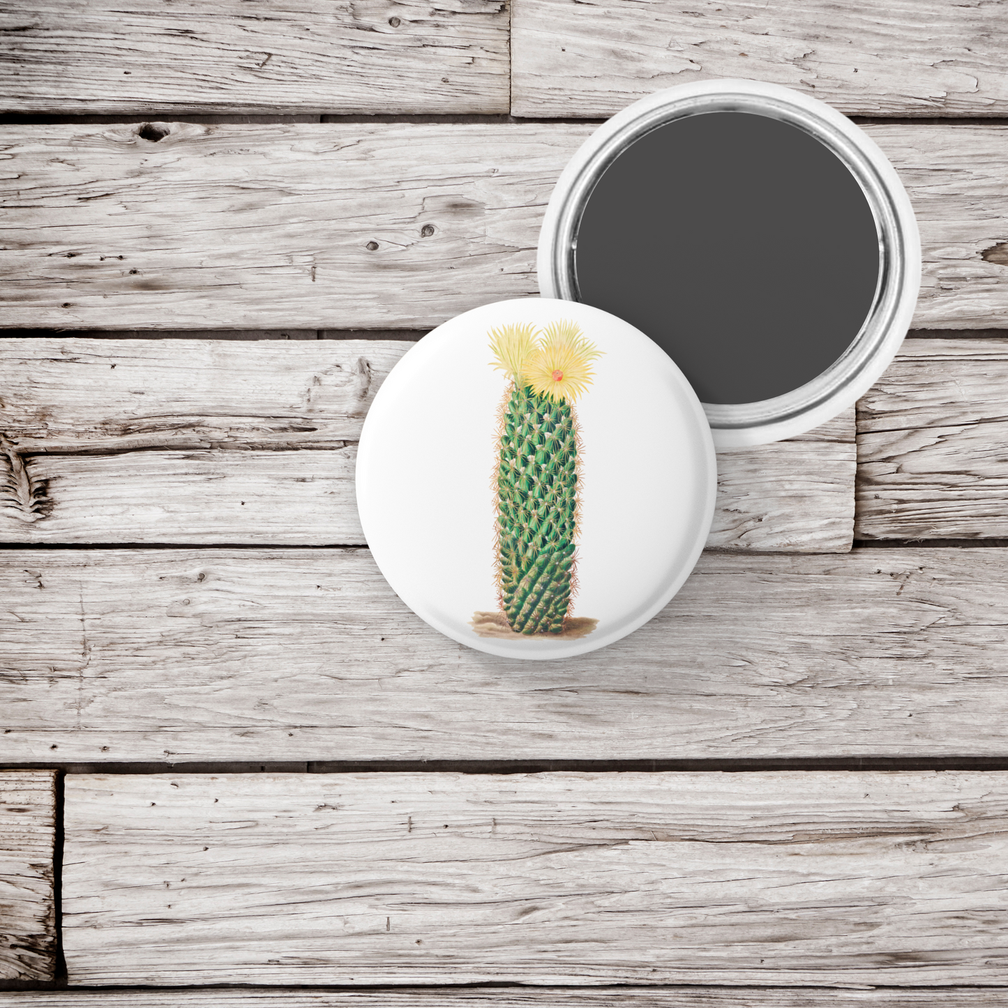 Cactus Pin Back Button, Magnet, Keychain