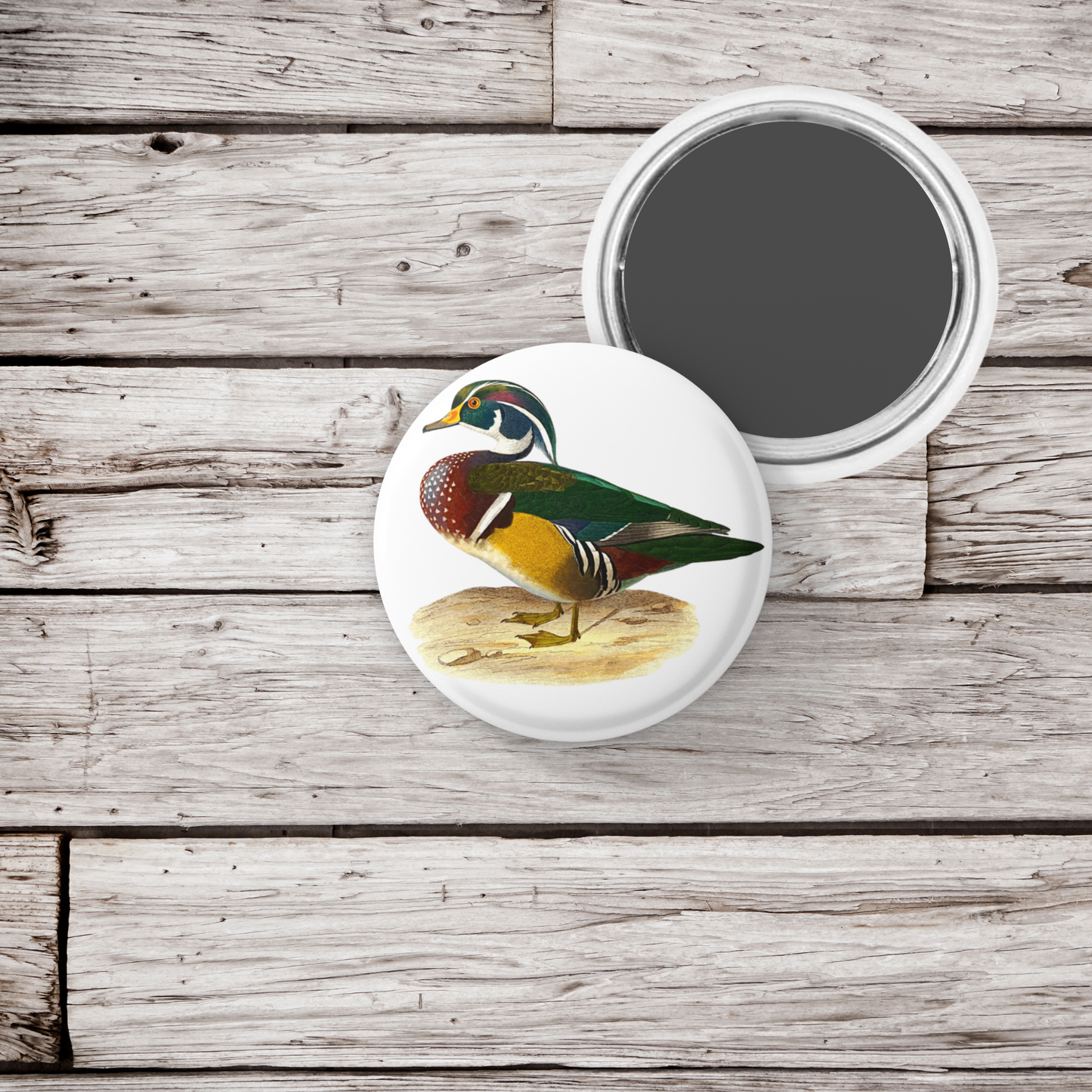 Wood Duck Pin Back Button, Magnet, Keychain