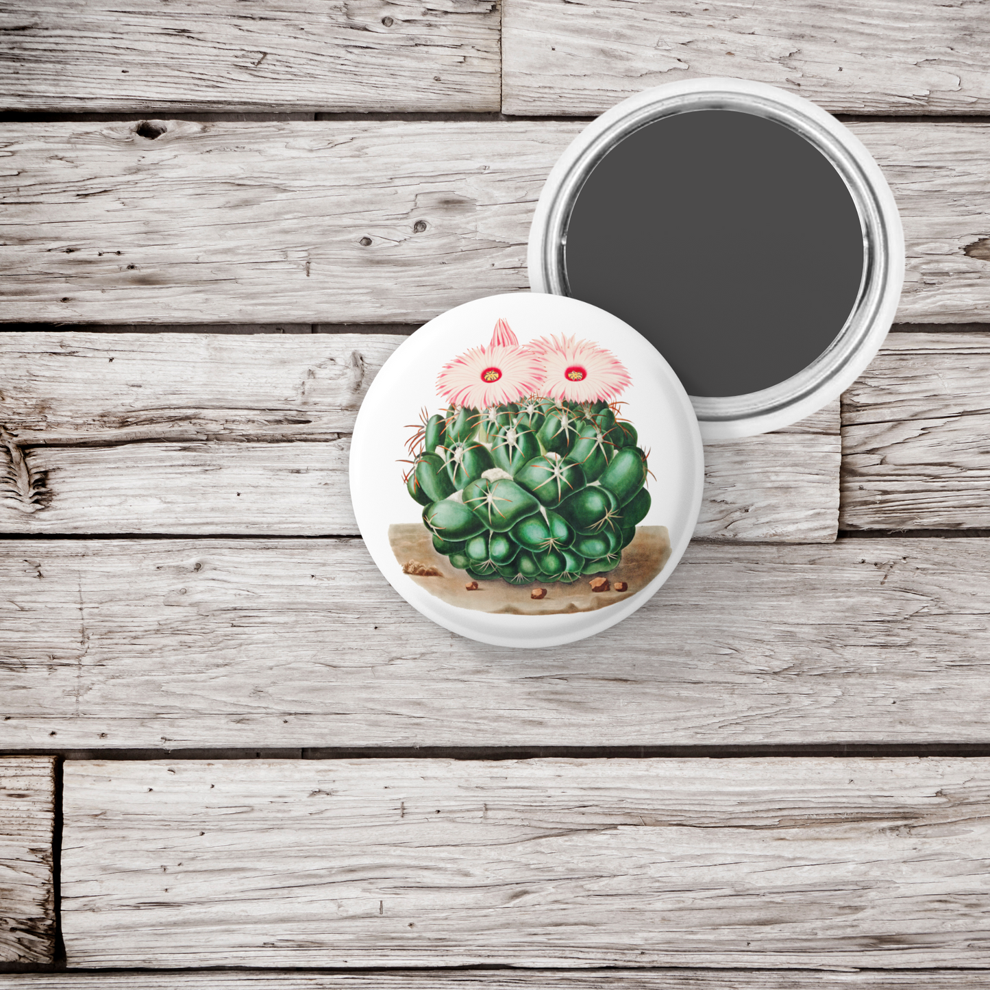 Cactus Pin Back Button, Magnet, Keychain