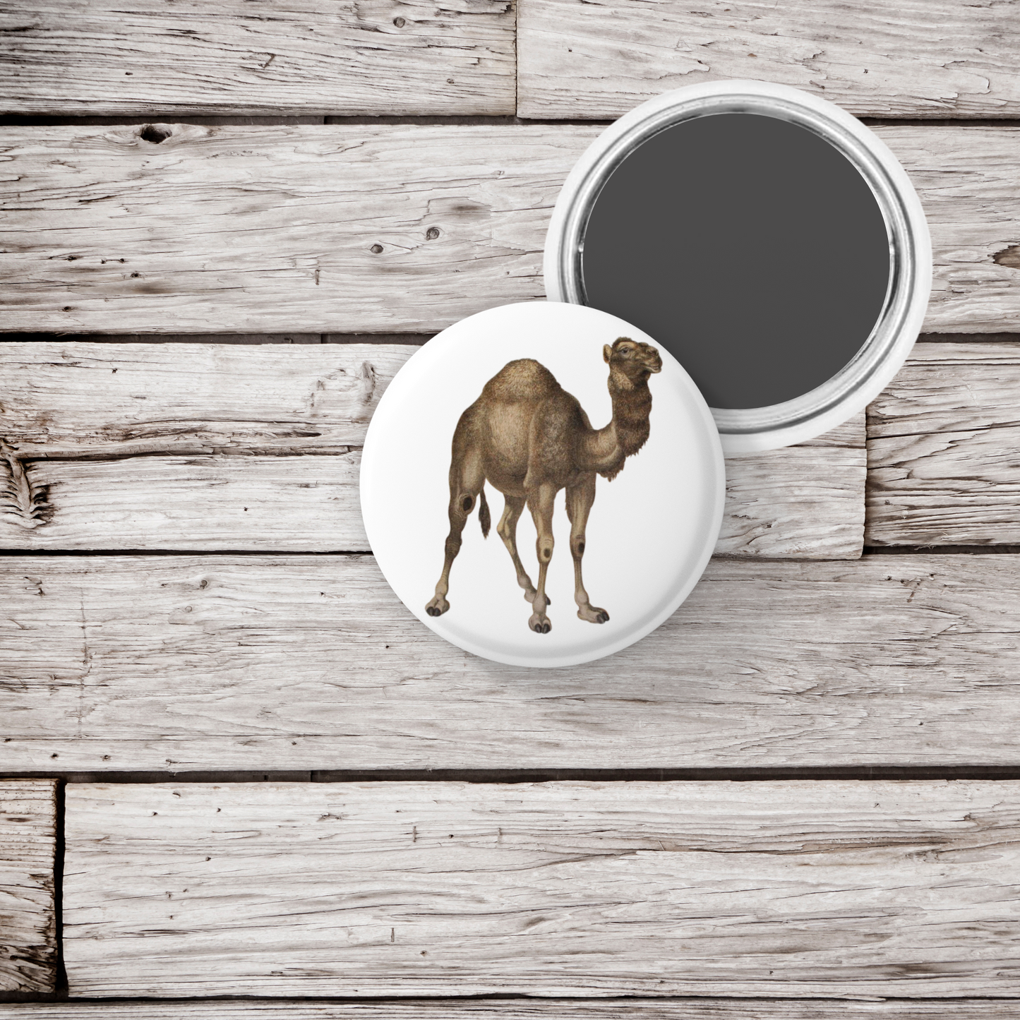 Camel Pin Back Button, Magnet, Keychain
