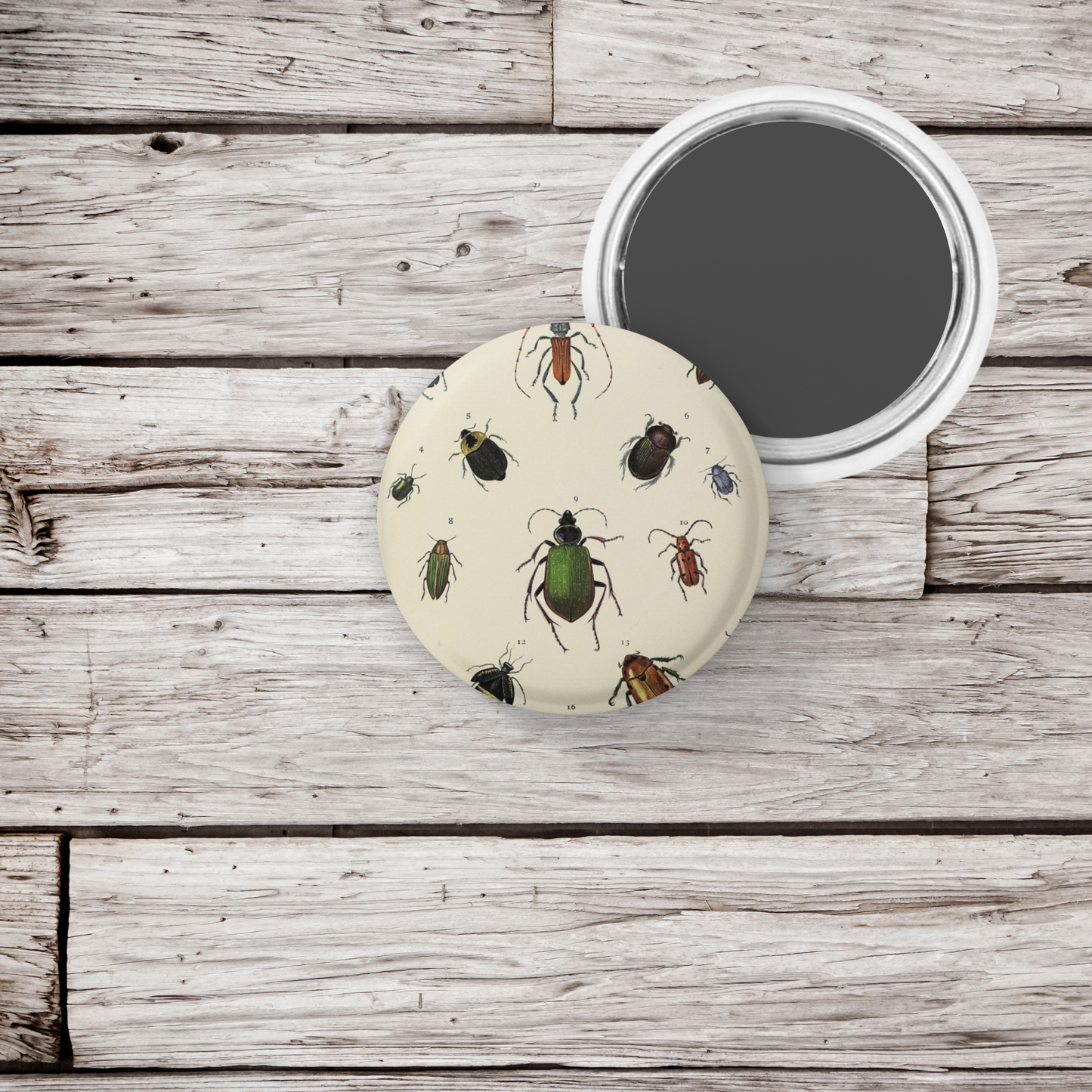Beetle Pin Back Button, Magnet, Keychain